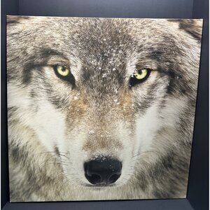 Vtg Hobby Lobby Wolf Canvas Poster Animal Wall Art Home Decor Retro 24''x18"